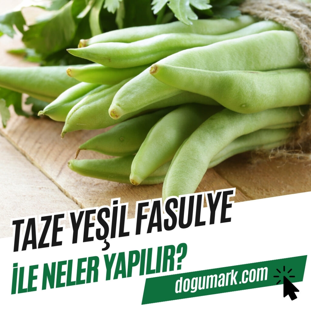 Taze Yeşil Fasulye ile Neler Yapılır