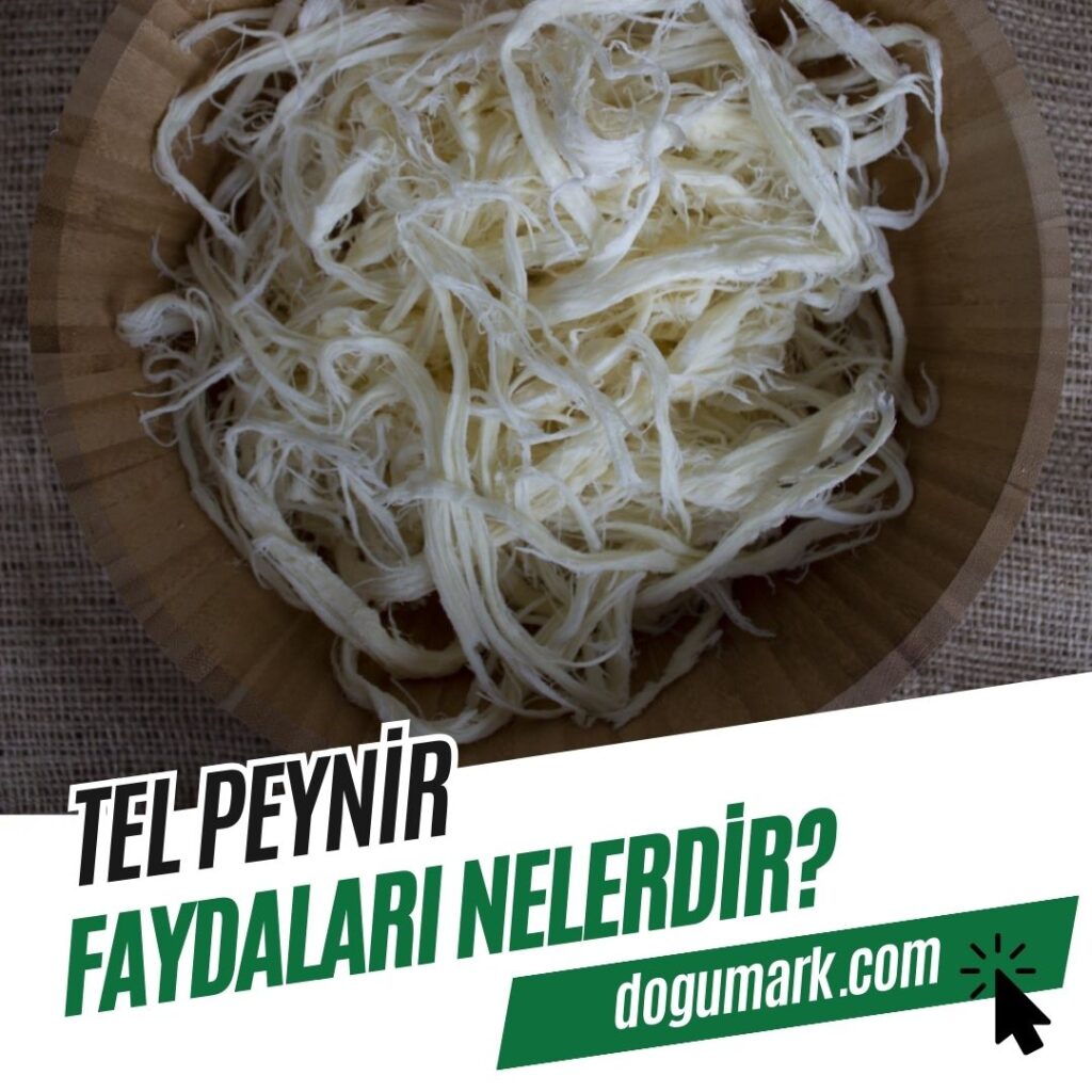 Tel Peynir Faydaları Nelerdir