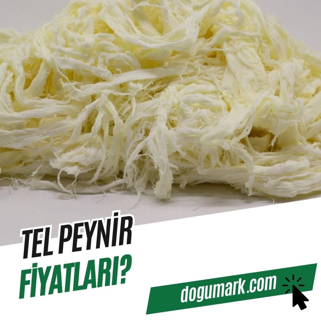 Tel Peynir Fiyatları