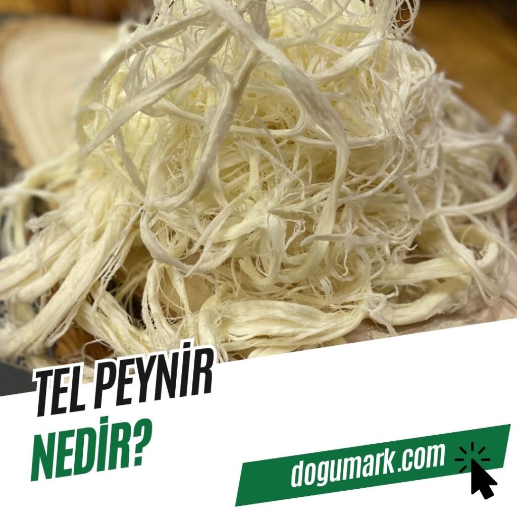 Tel Peynir Nedir