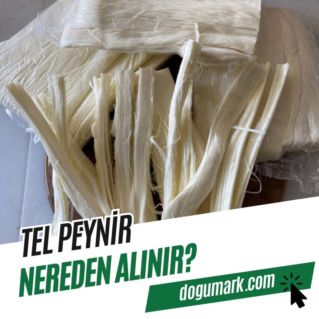 Tel Peynir Nereden Alınır