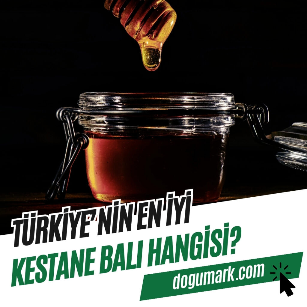 Türkiye'nin En iyi Kestane Balı Hangisi
