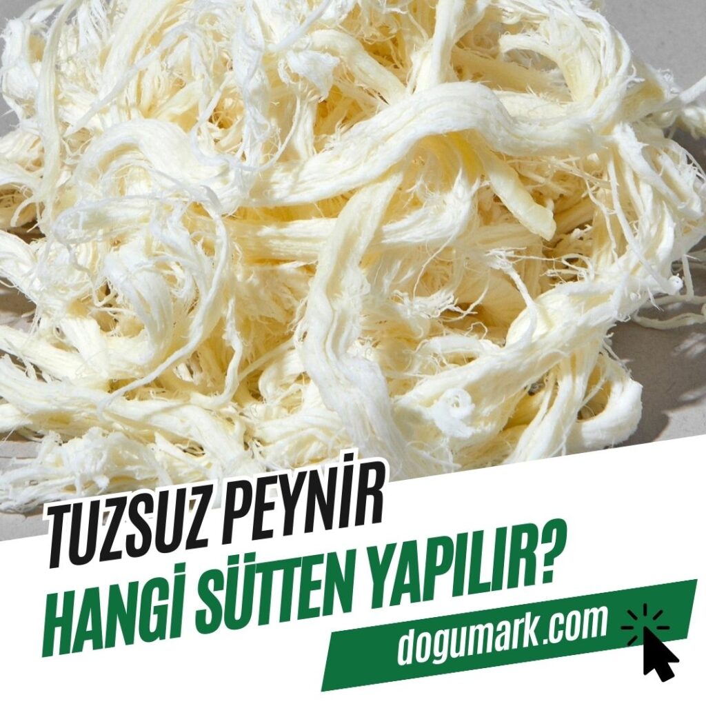 Tuzsuz Peynir Hangi Sütten Yapılır