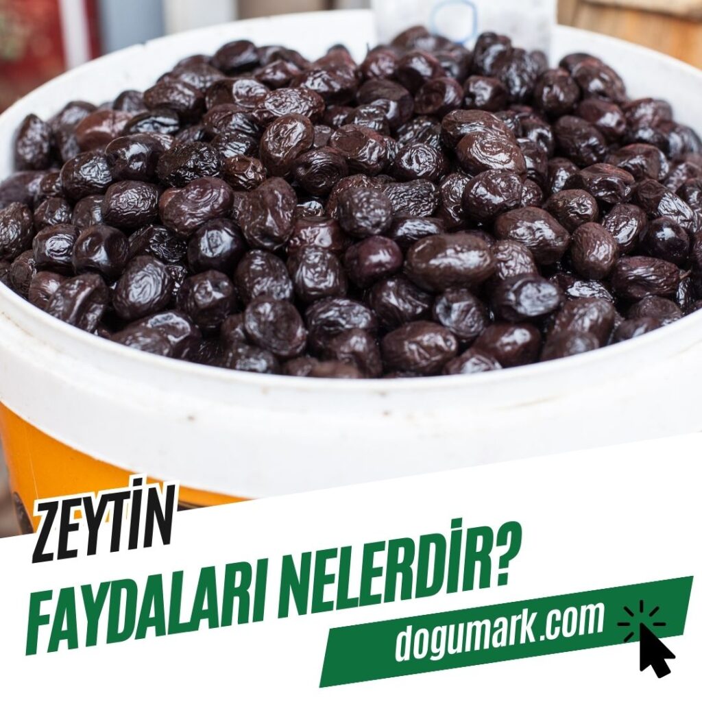 Zeytin Faydaları Nelerdir