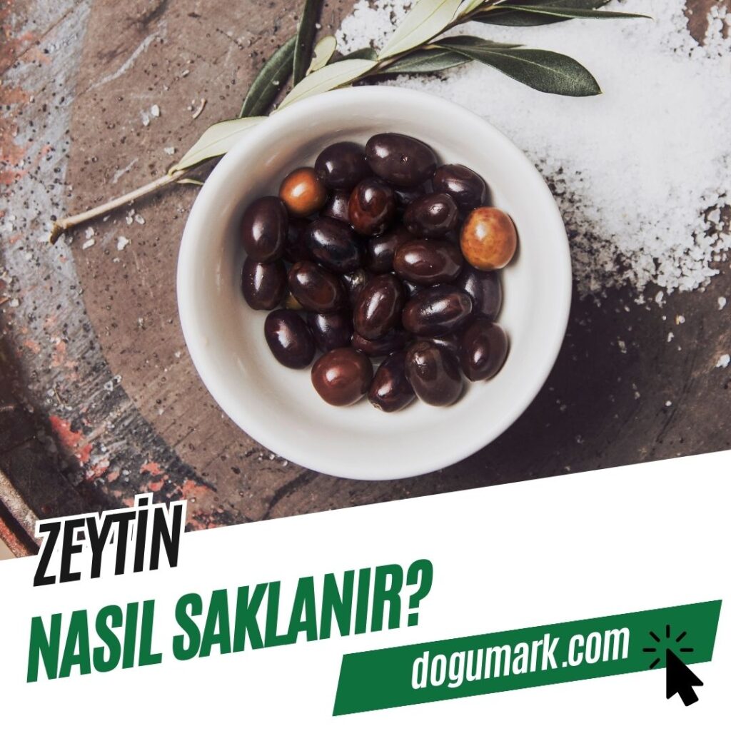 Zeytin Nasıl Saklanır