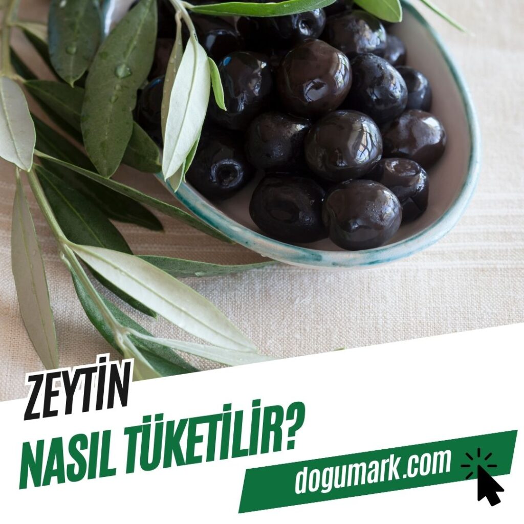 Zeytin Nasıl Tüketilir