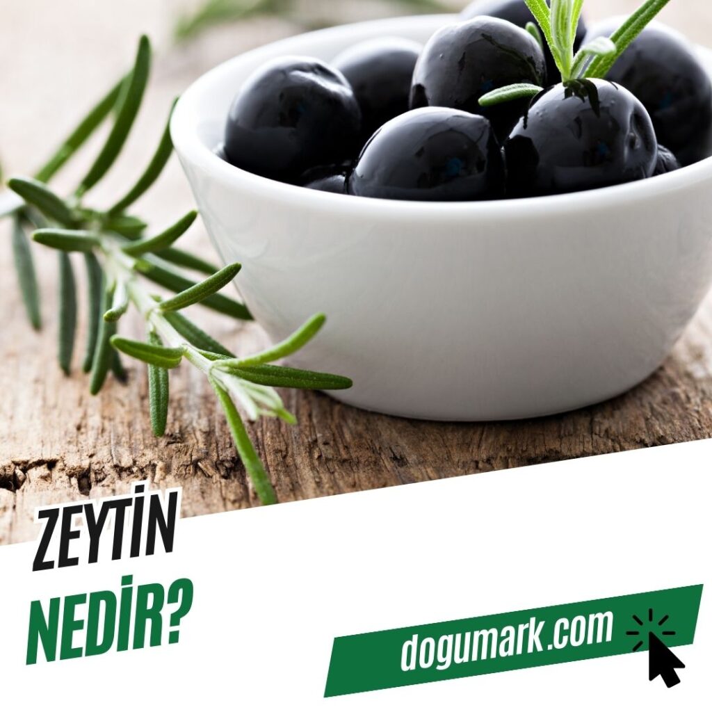 Zeytin Nedir
