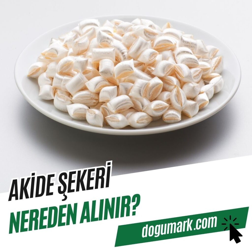 Akide Şekeri Nereden Alınır