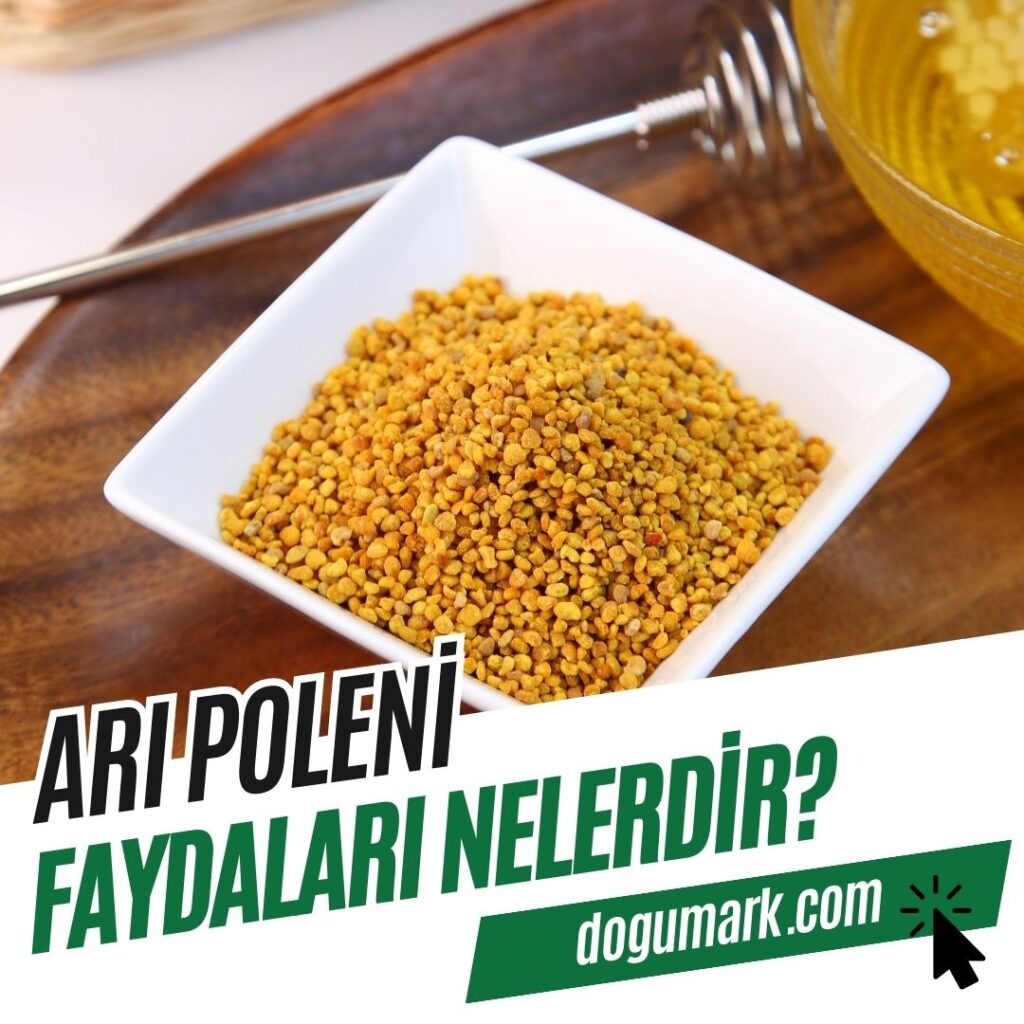 Arı Poleni Faydaları Nelerdir