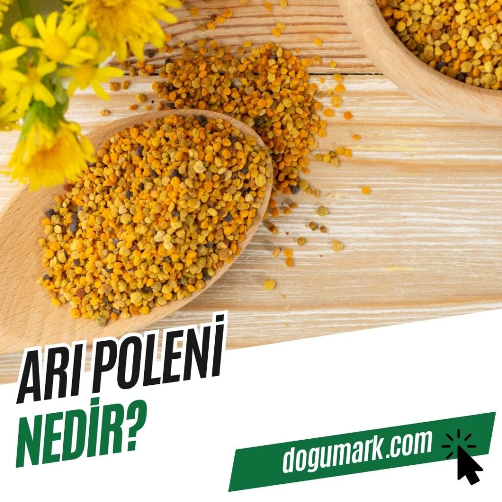 Arı Poleni Nedir