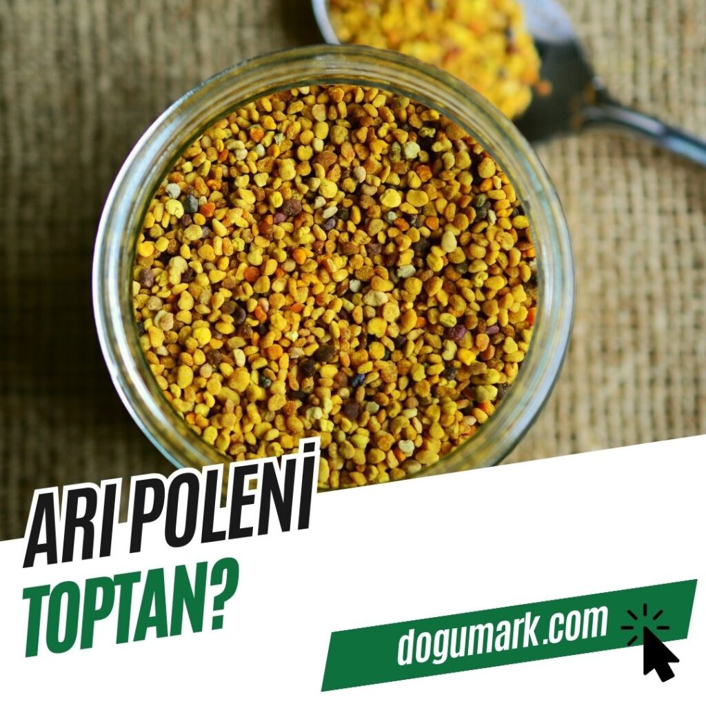Arı Poleni Toptan