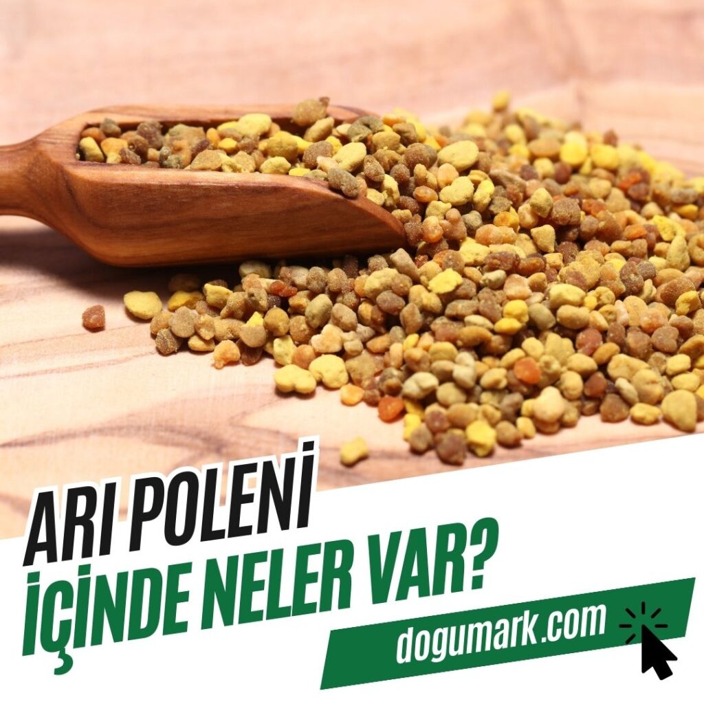 Arı Poleni içinde Neler Var
