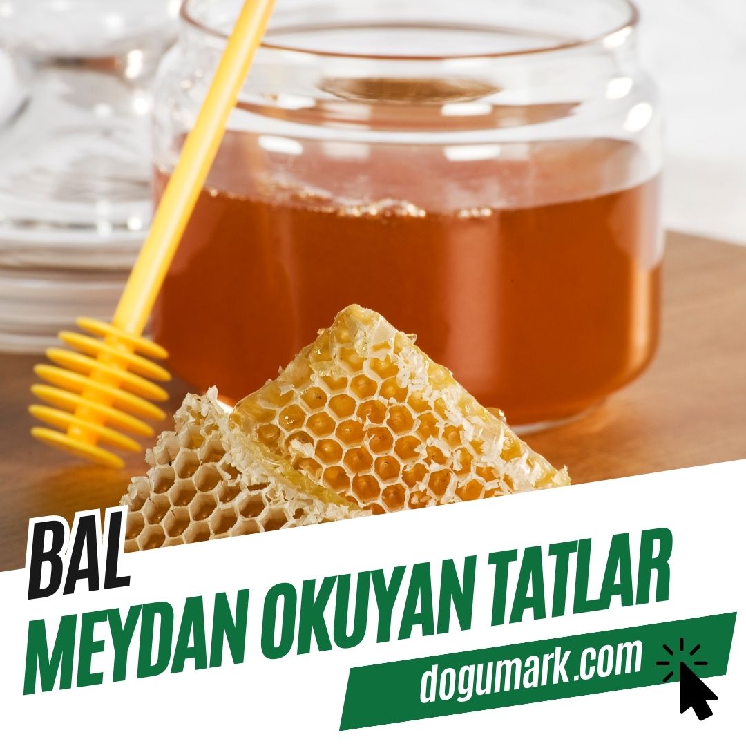 Bal