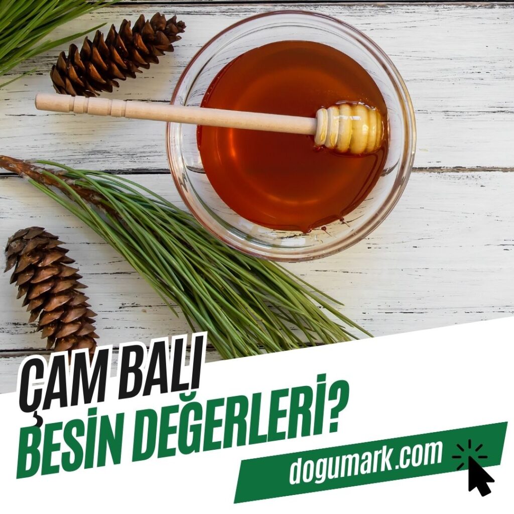 Çam Balı Besin Değerleri