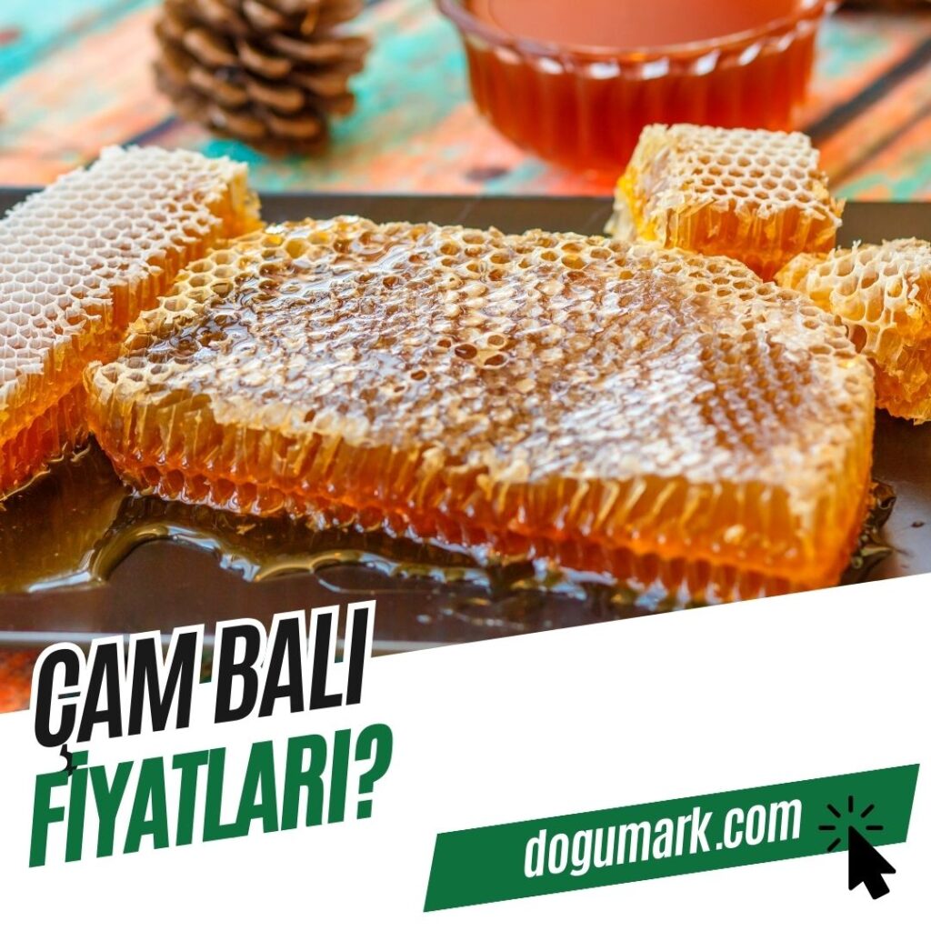 Çam Balı Fiyatları