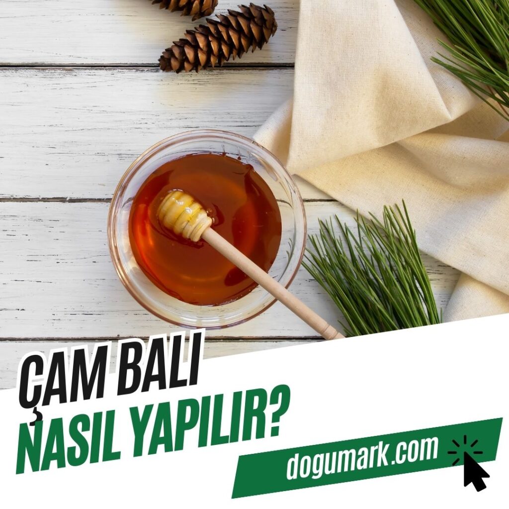 Çam Balı Nasıl Yapılır