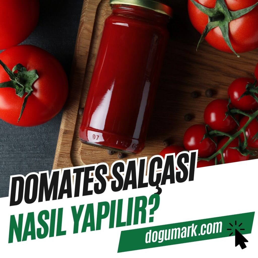 Domates Salçası Nasıl Yapılır