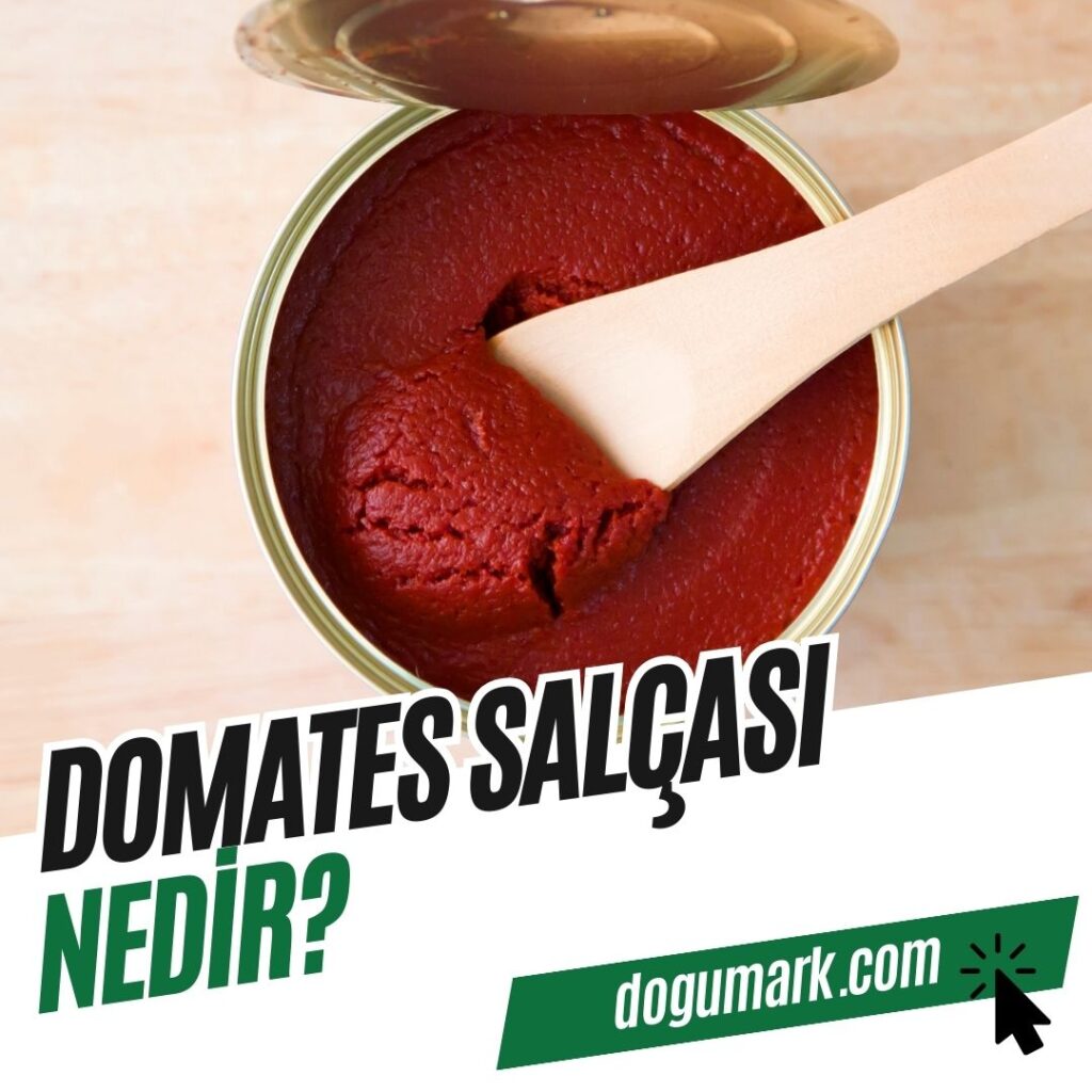 Domates Salçası Nedir