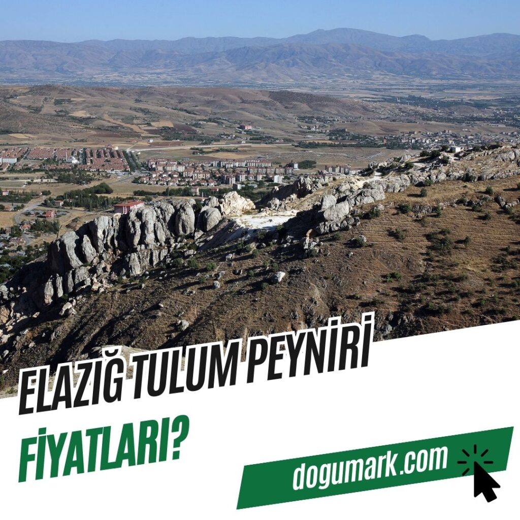 Elazığ Tulum Peyniri Fiyatları