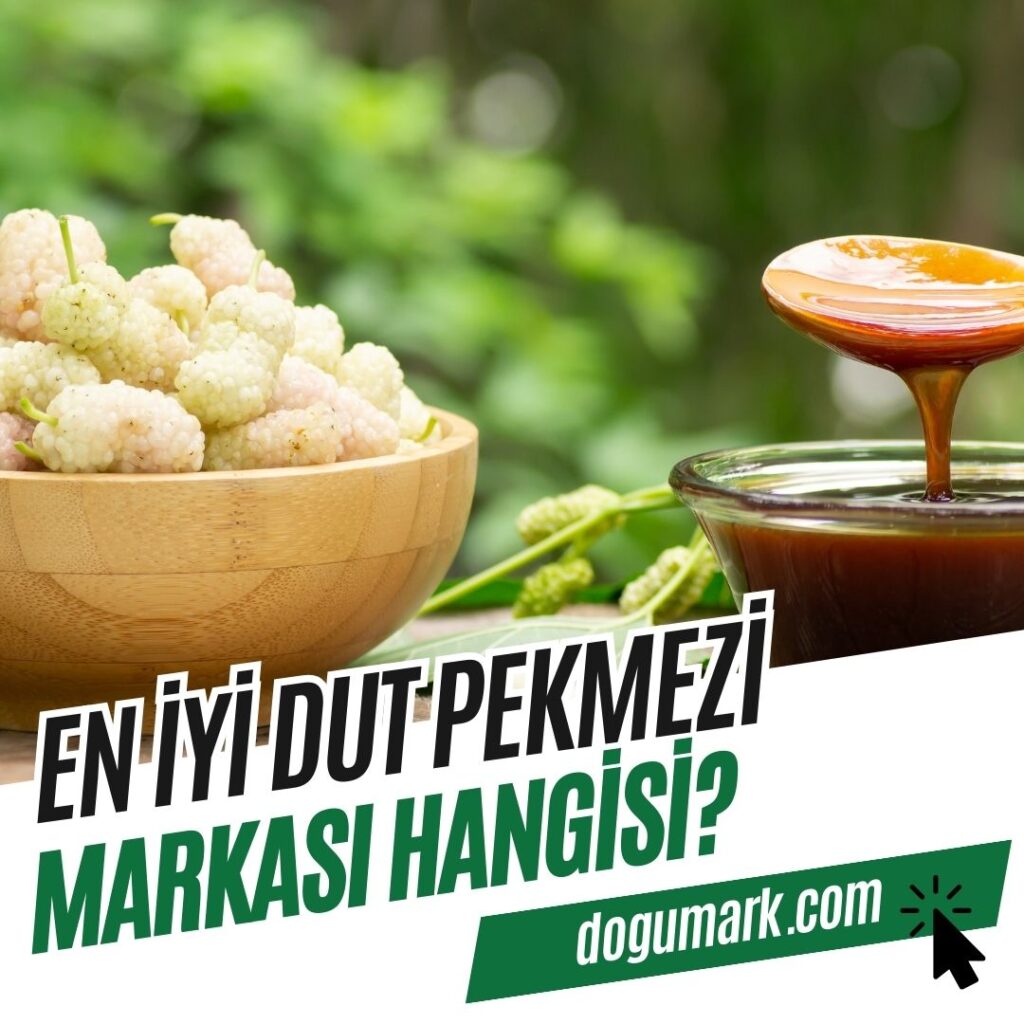 En iyi Dut Pekmezi Markası Hangisi