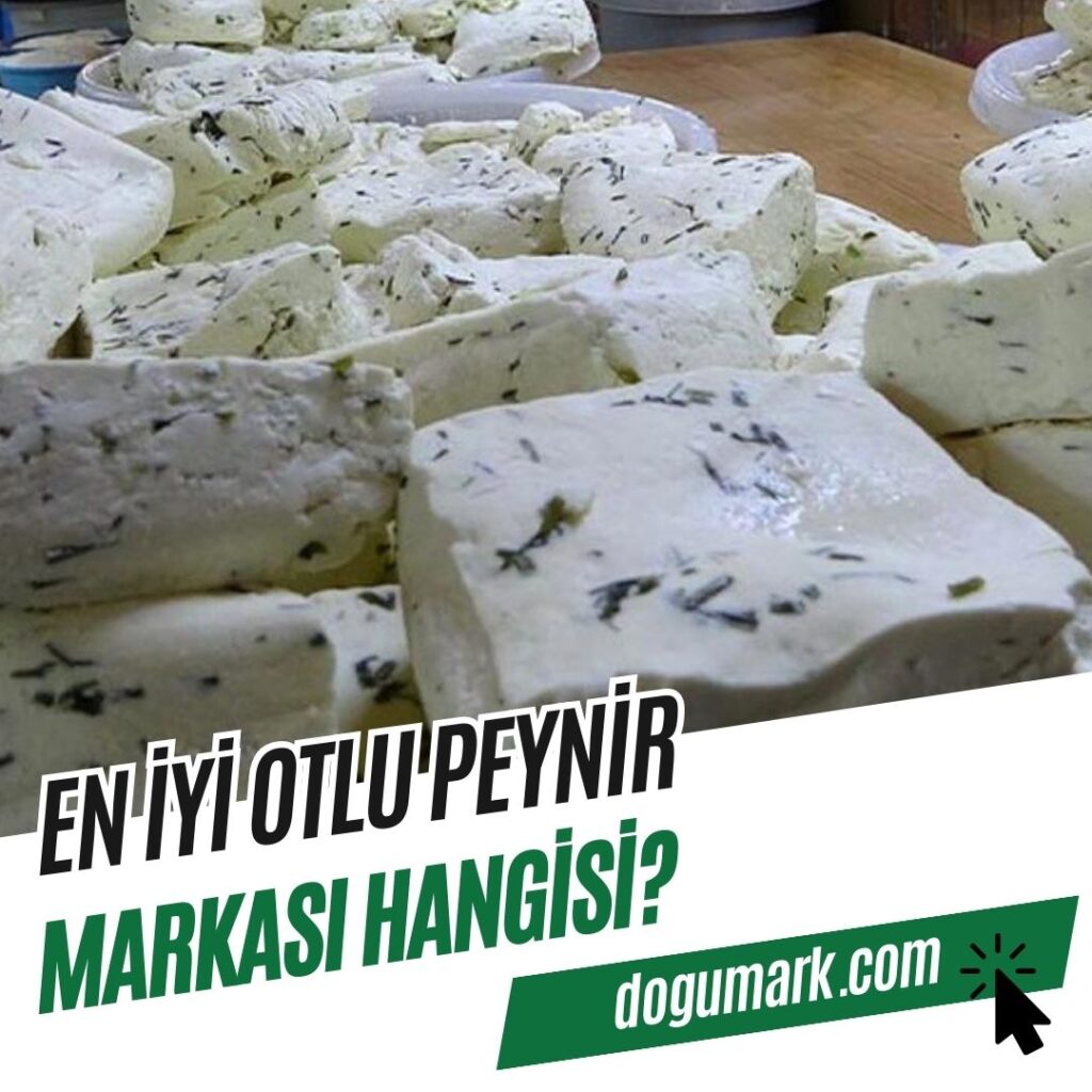 En iyi Otlu Peynir Markası Hangisi