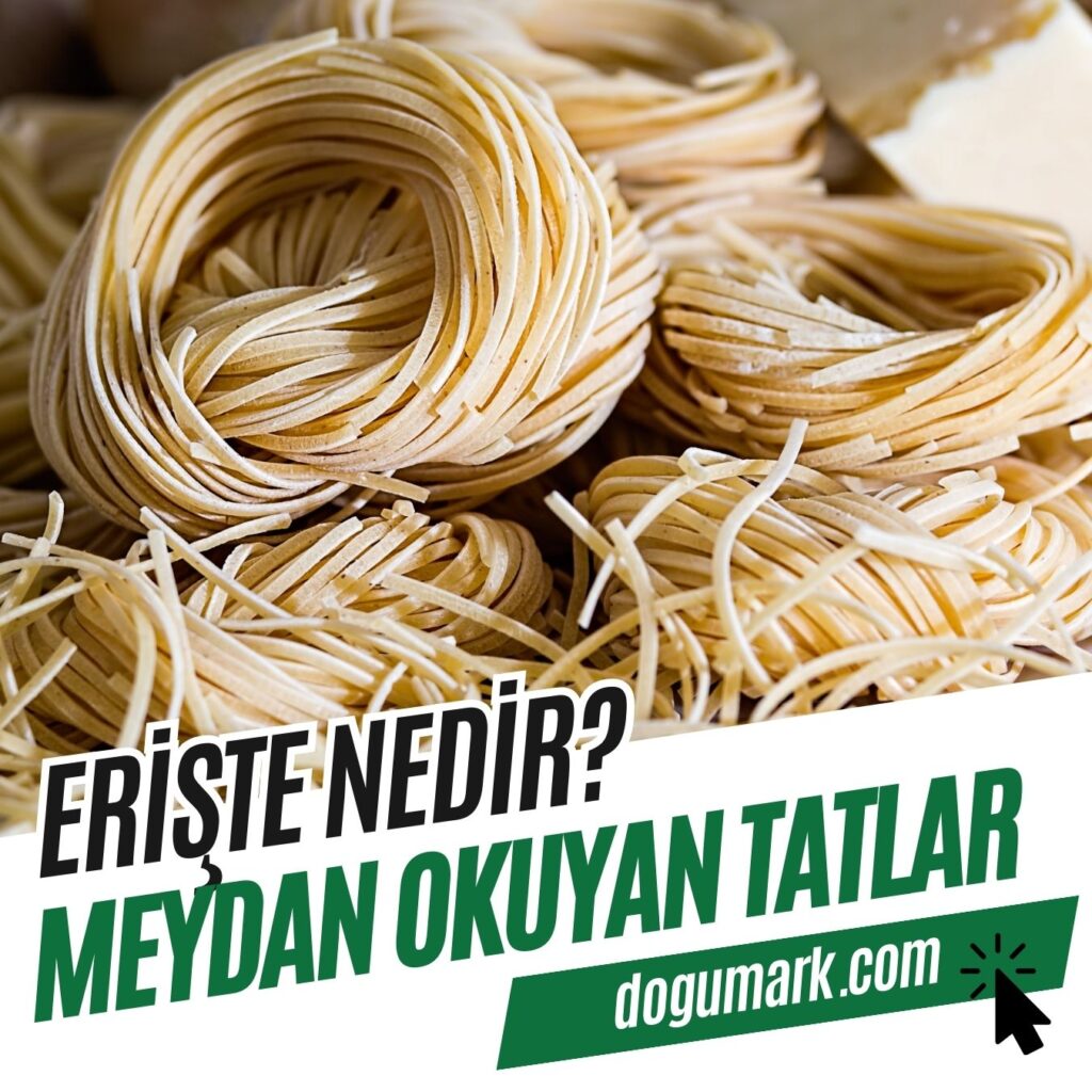Erişte Nedir