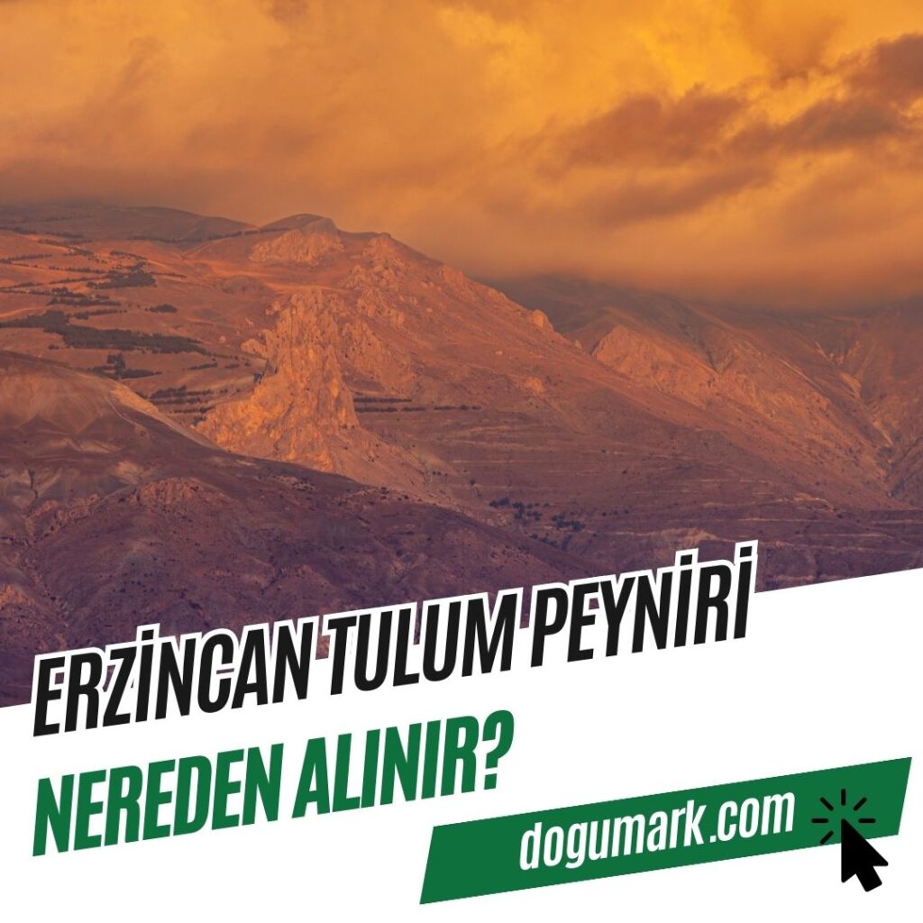 Erzincan Tulum Peyniri Nereden Alınır