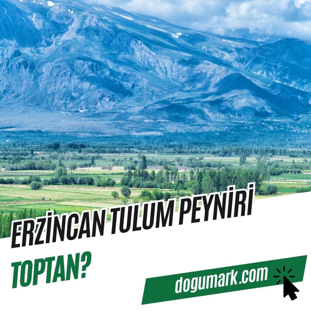 Erzincan Tulum Peyniri Toptan