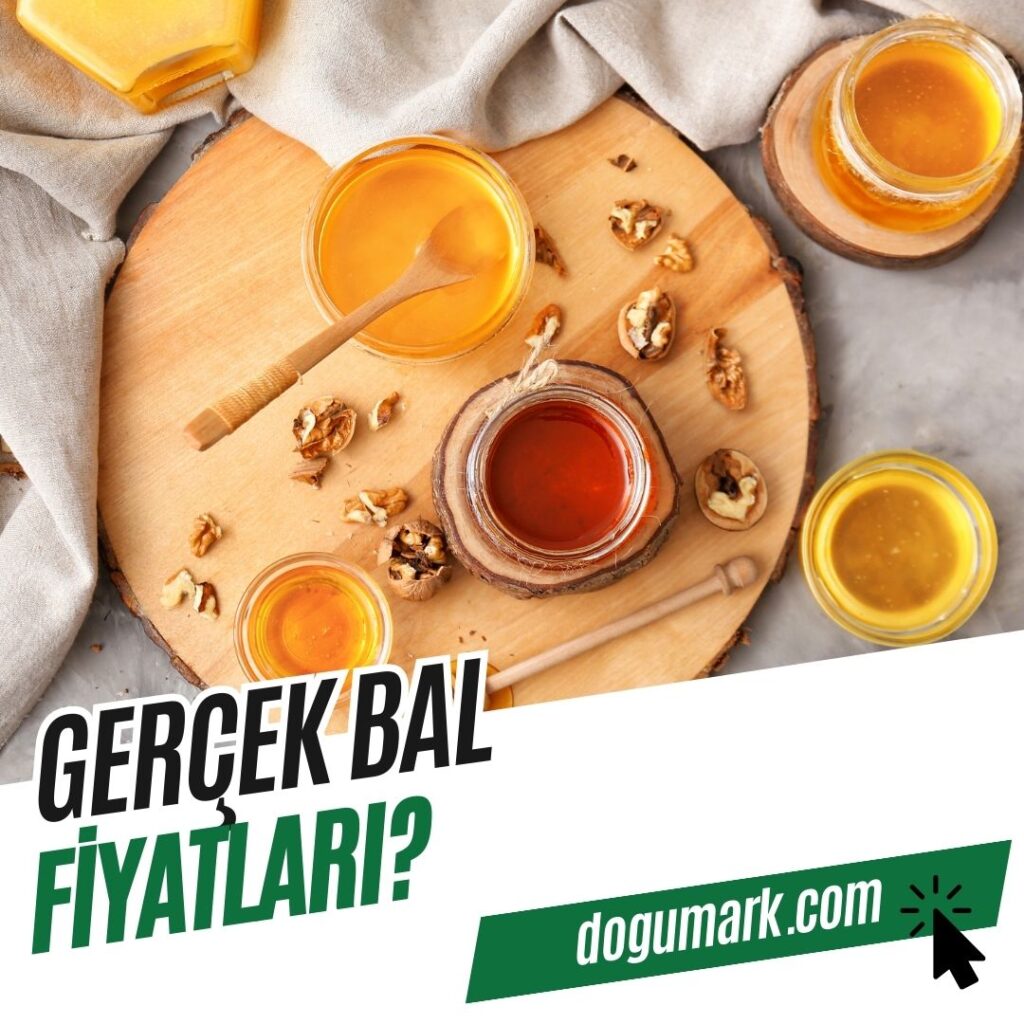 Gerçek Bal Fiyatları