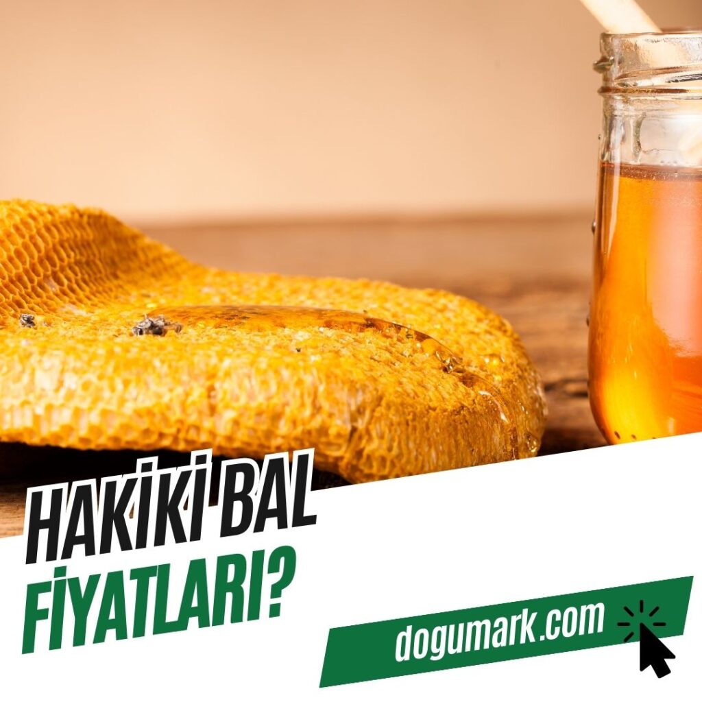 Hakiki Bal Fiyatları