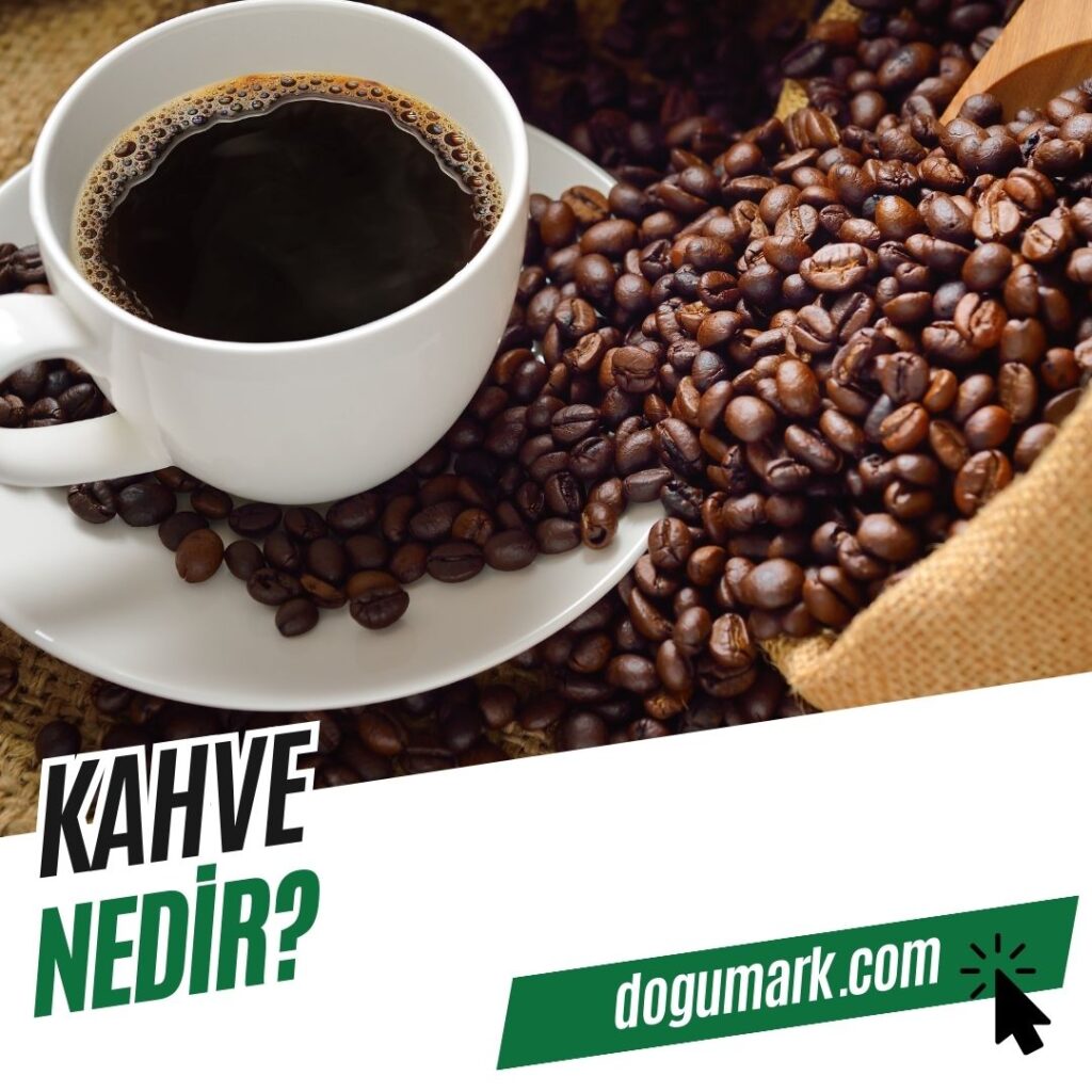 Kahve Nedir