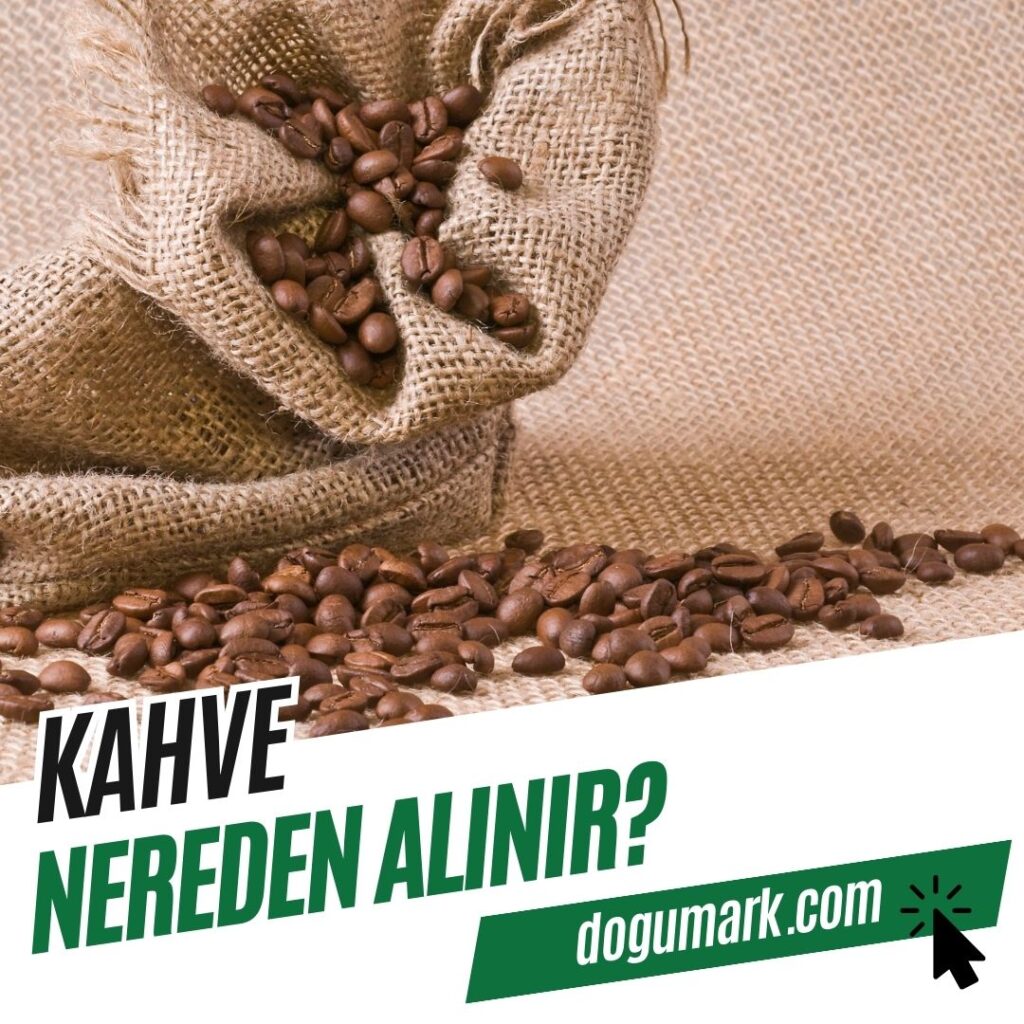 Kahve Nereden Alınır