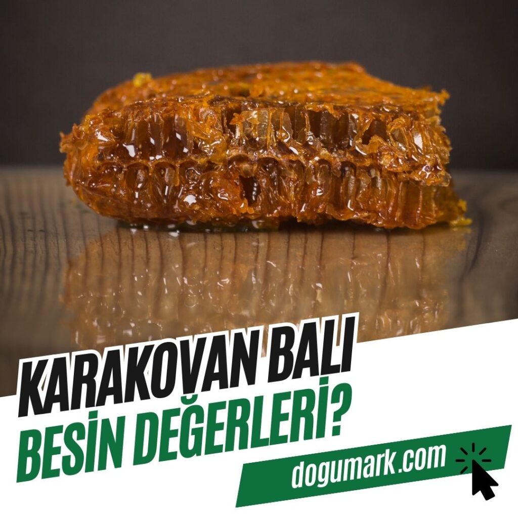 Karakovan Balı Besin Değerleri