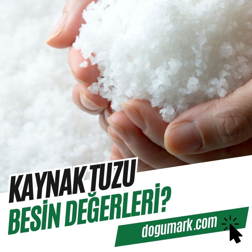 Kaynak Tuzu Besin Değerleri