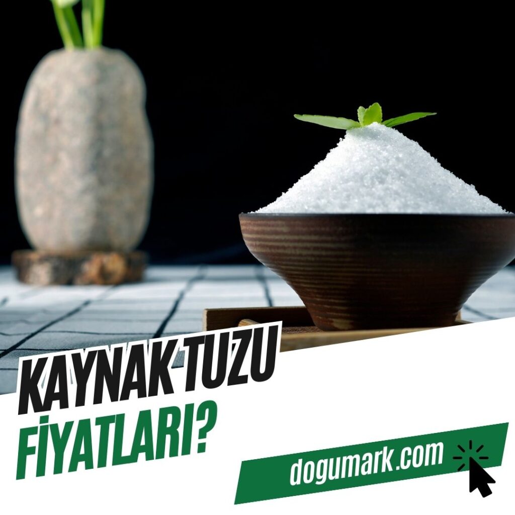Kaynak Tuzu Fiyatları