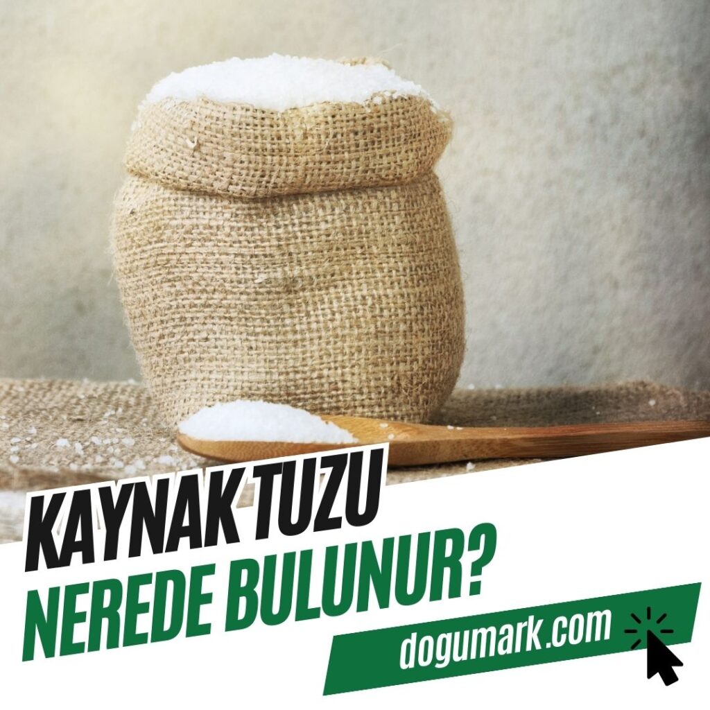 Kaynak Tuzu Nerede Bulunur
