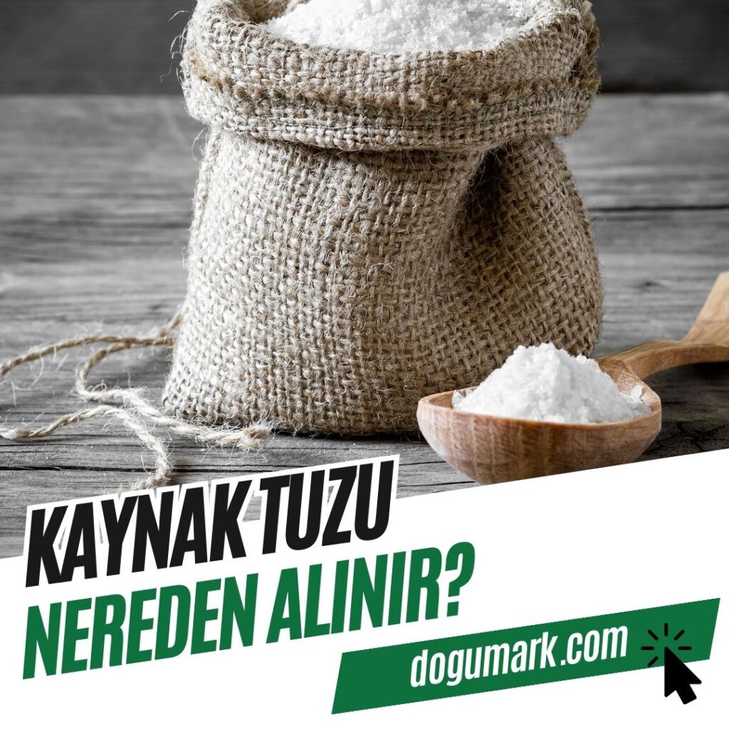 Kaynak Tuzu Nereden Alınır
