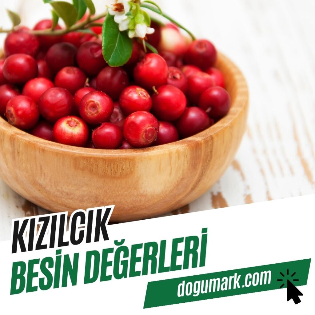 Kızılcık Besin Değerleri