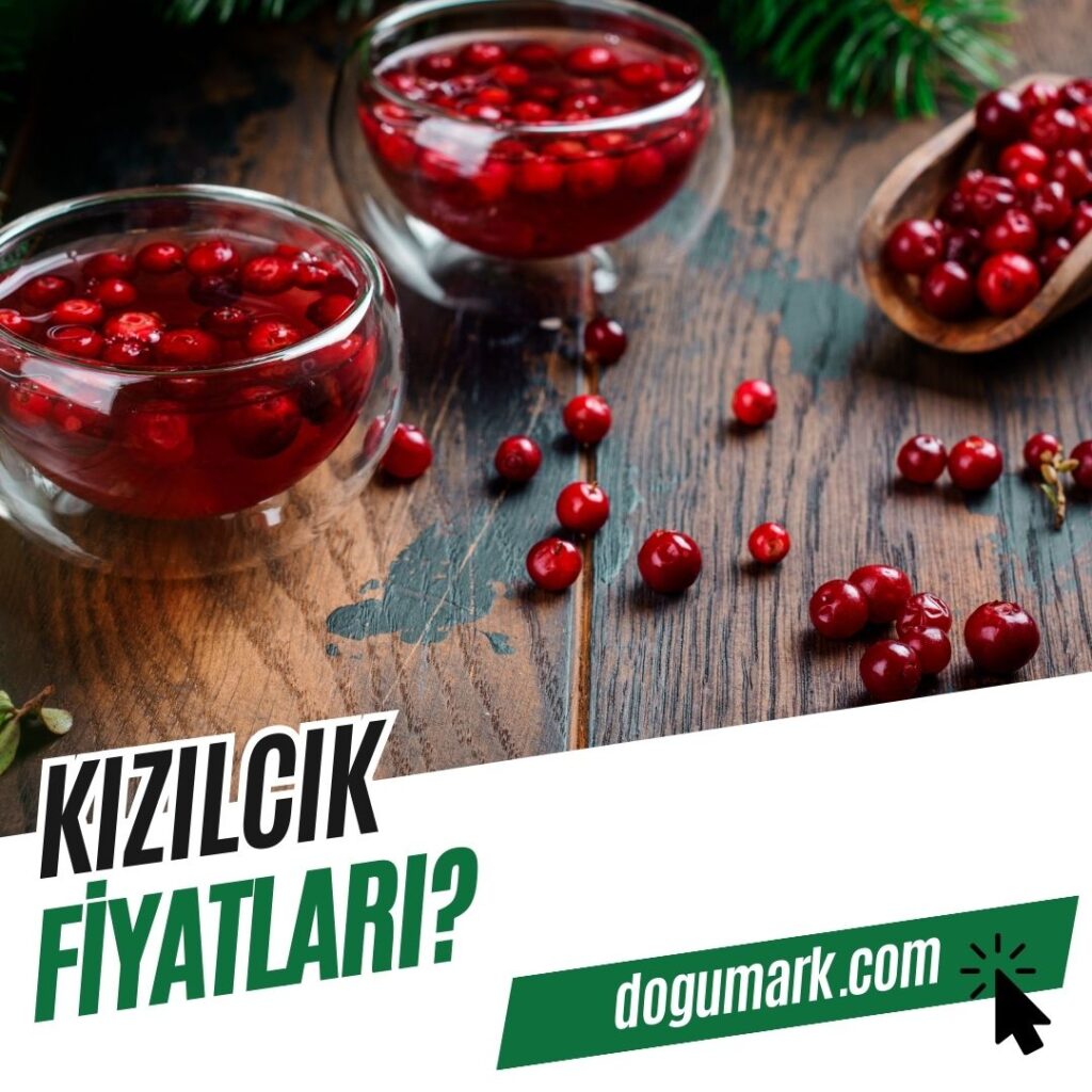 Kızılcık Fiyatları