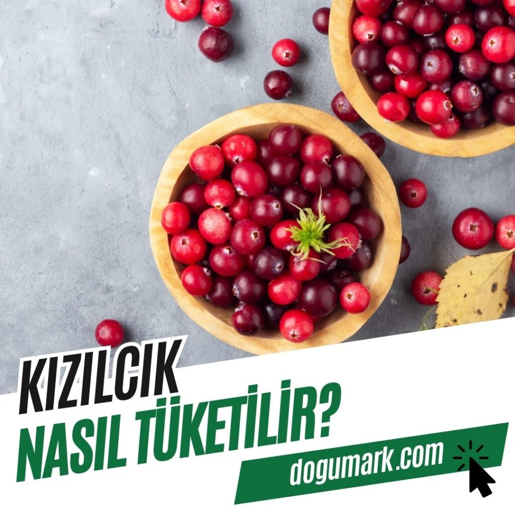 Kızılcık Nasıl Tüketilir