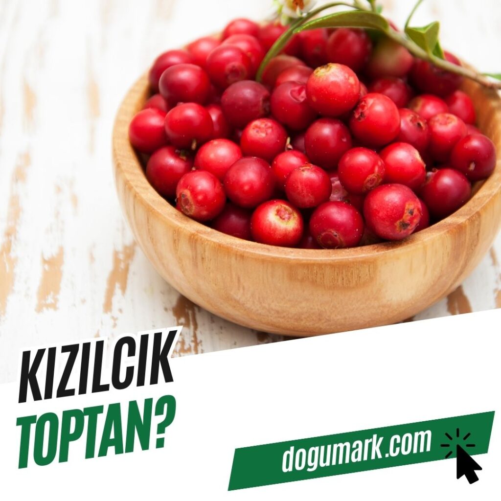 Kızılcık Toptan