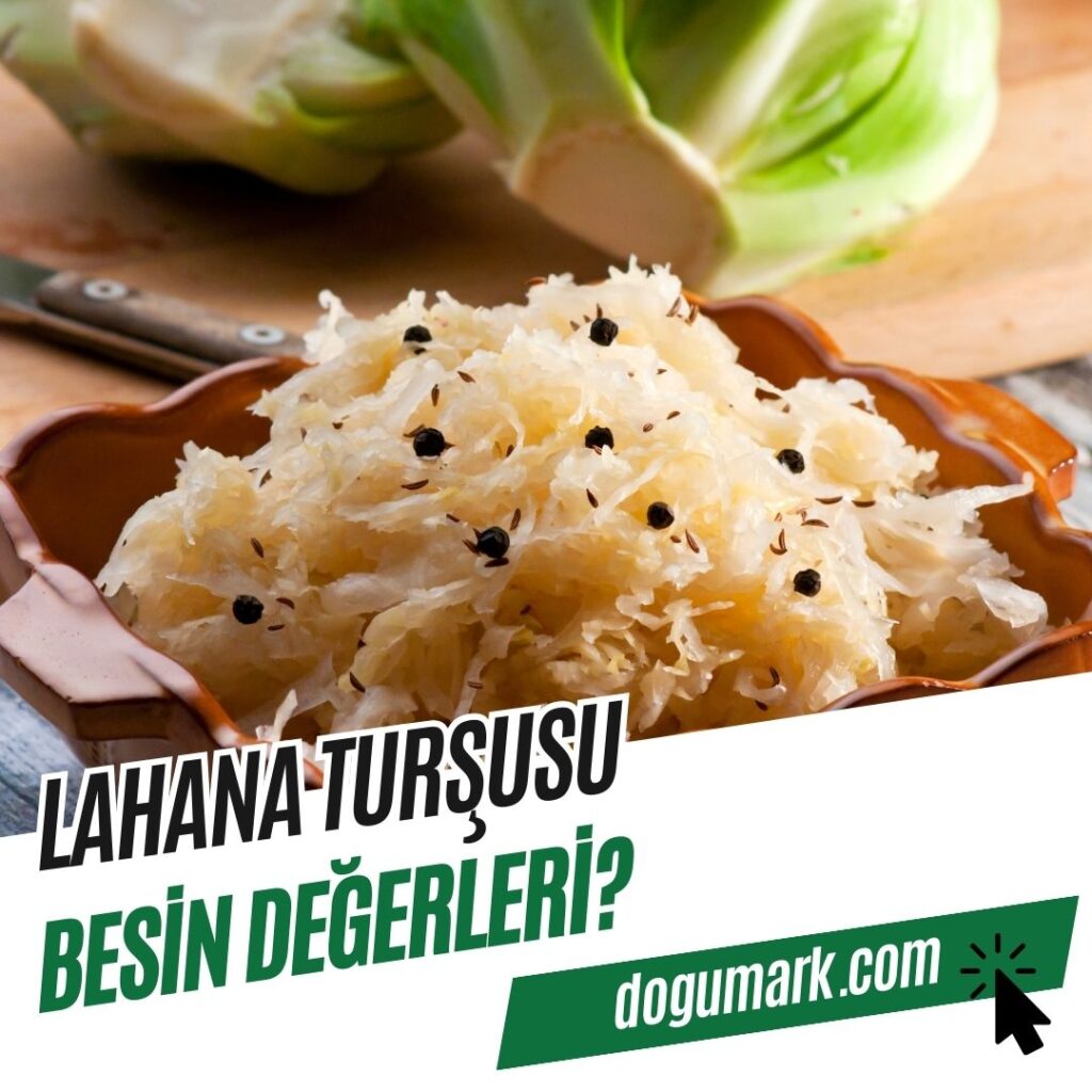Lahana Turşusu Besin Değerleri