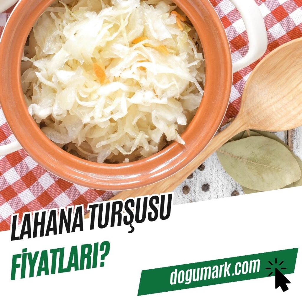Lahana Turşusu Fiyatları