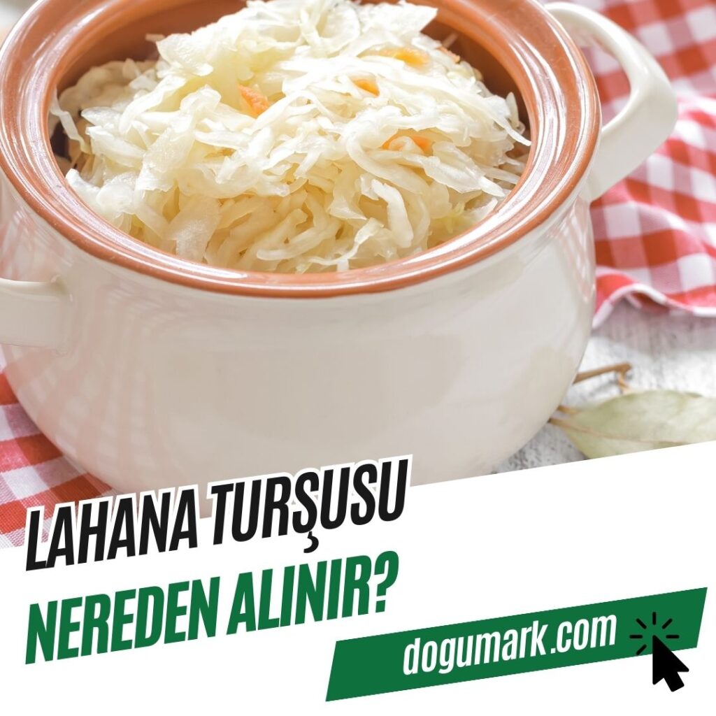 Lahana Turşusu Nereden Alınır