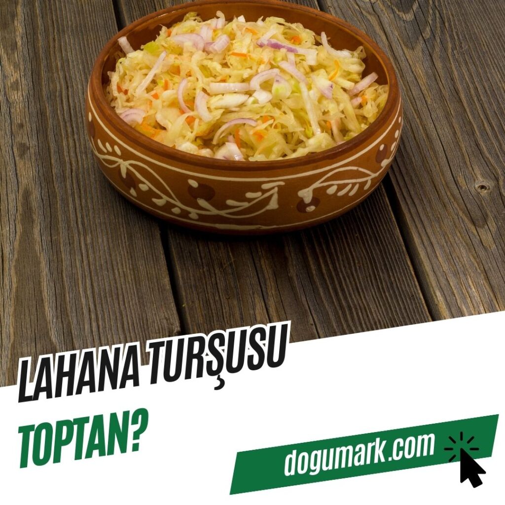 Lahana Turşusu Toptan