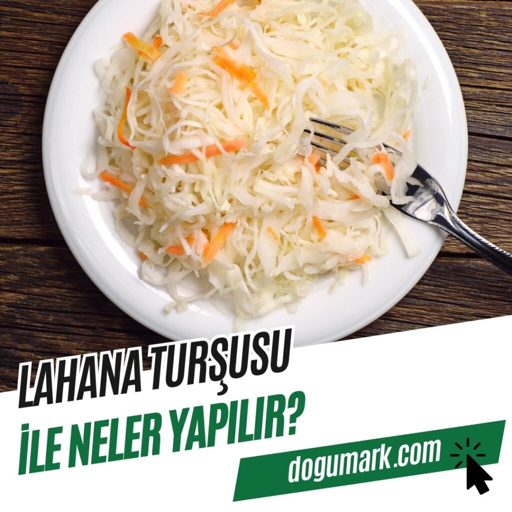 Lahana Turşusu ile Neler Yapılır