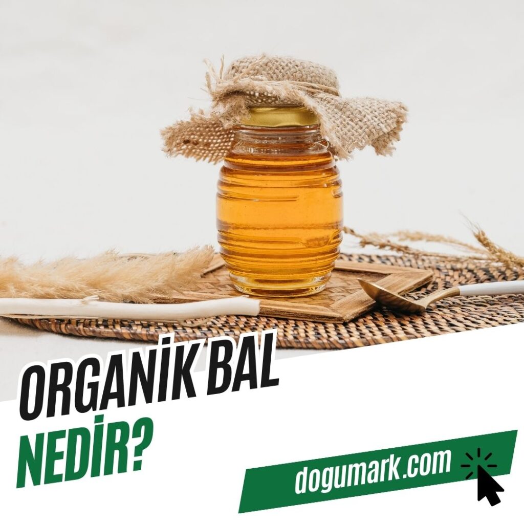 Organik Bal Nedir