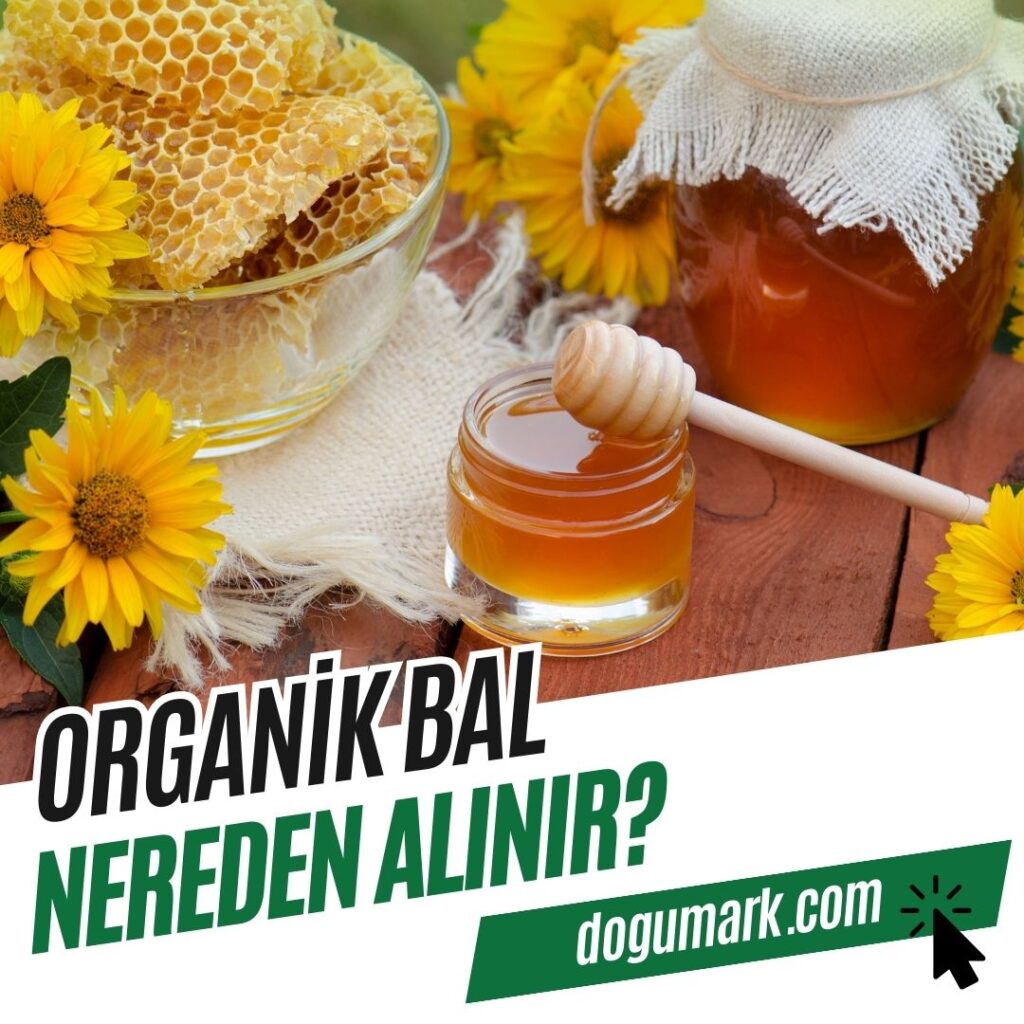 Organik Bal Nereden Alınır