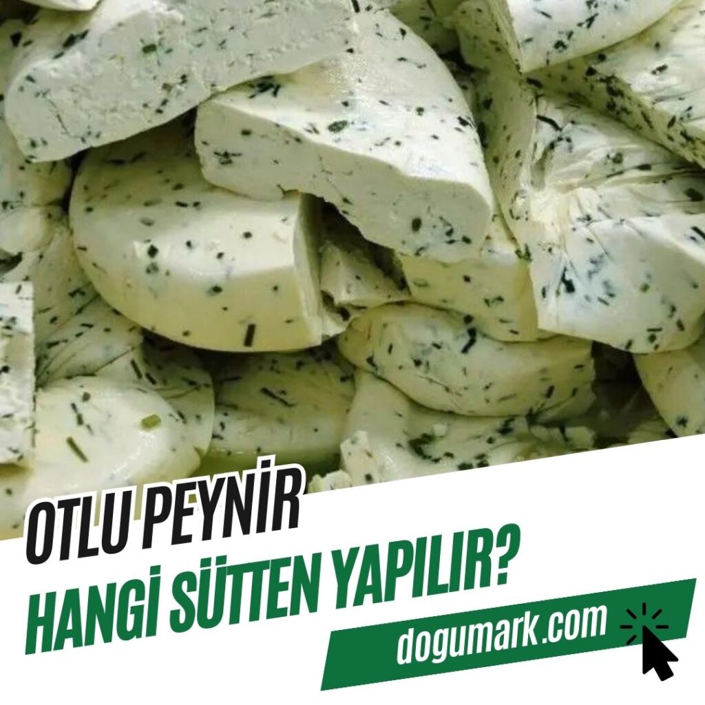 Otlu Peynir Hangi Sütten Yapılır