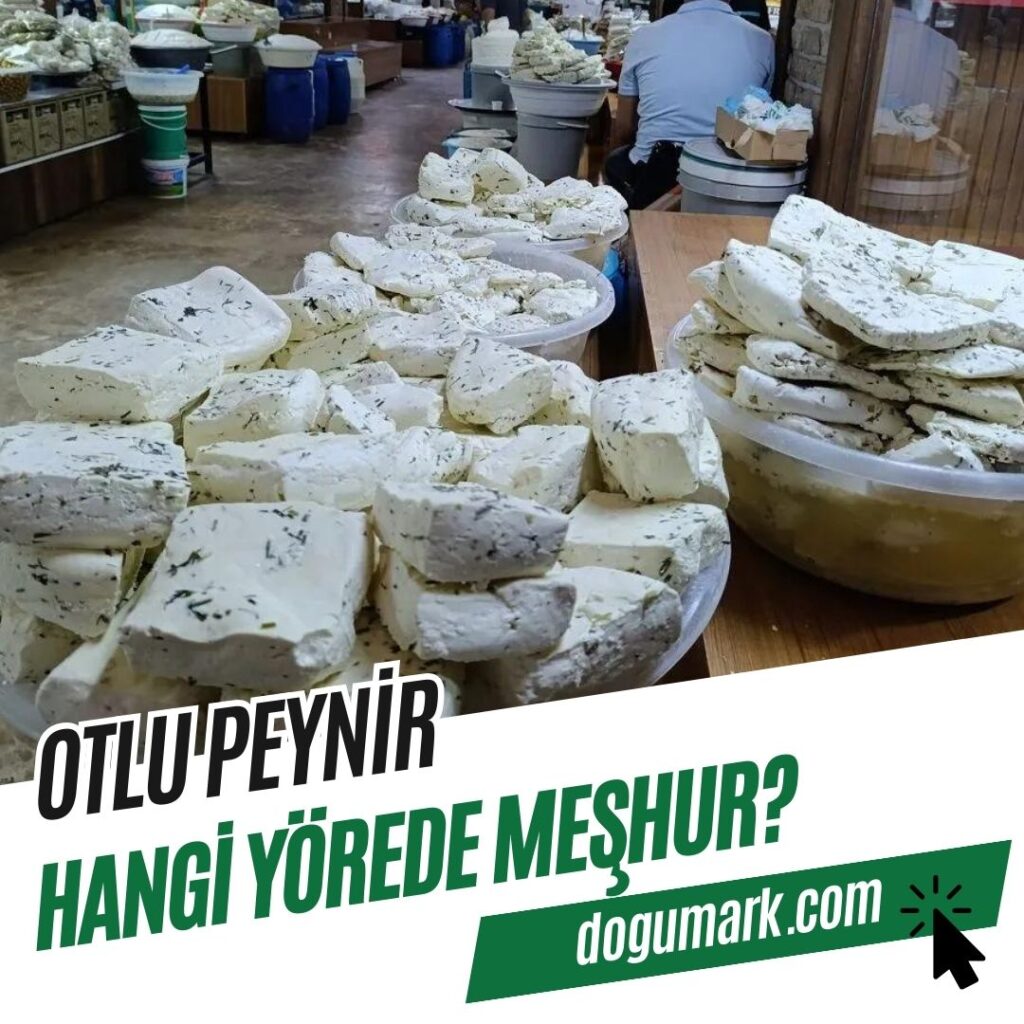 Otlu Peynir Hangi Yörede Meşhur
